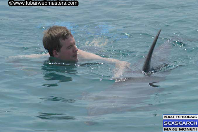 Local Billing Dolphin Encounter and Swim 2005