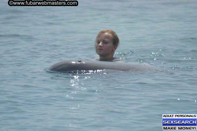 Local Billing Dolphin Encounter and Swim 2005