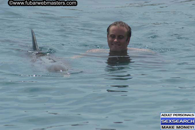 Local Billing Dolphin Encounter and Swim 2005