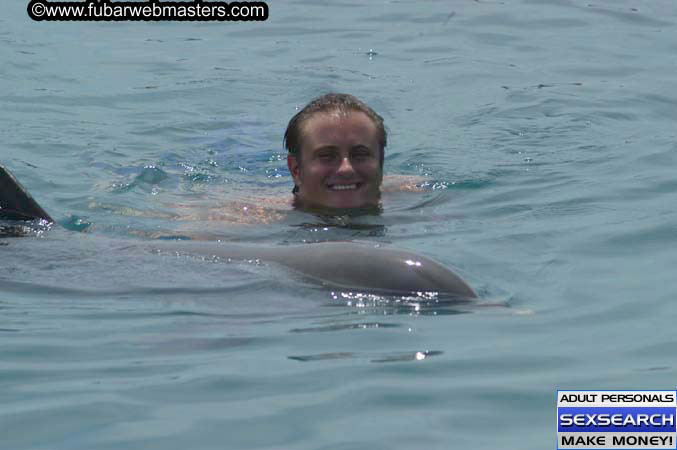 Local Billing Dolphin Encounter and Swim 2005