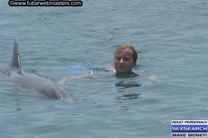 Local Billing Dolphin Encounter and Swim 2005