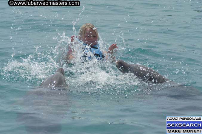 Local Billing Dolphin Encounter and Swim 2005