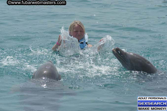 Local Billing Dolphin Encounter and Swim 2005