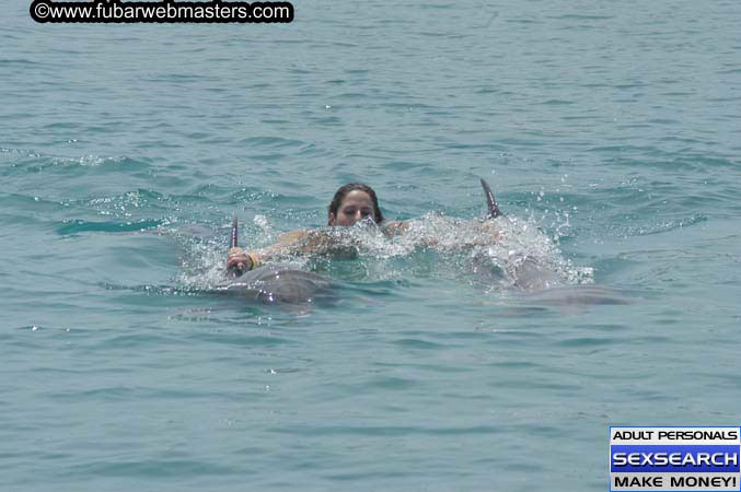 Local Billing Dolphin Encounter and Swim 2005