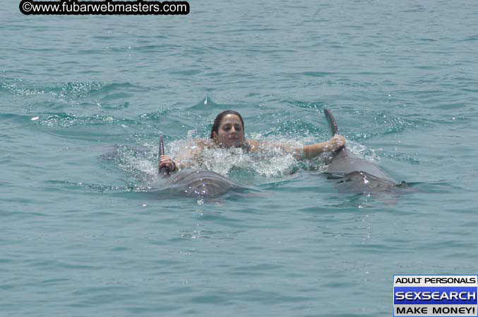 Local Billing Dolphin Encounter and Swim 2005