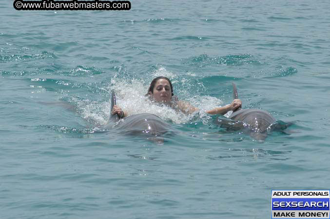 Local Billing Dolphin Encounter and Swim 2005