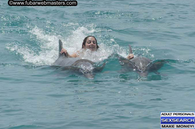 Local Billing Dolphin Encounter and Swim 2005