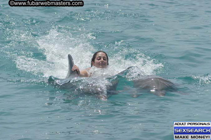 Local Billing Dolphin Encounter and Swim 2005