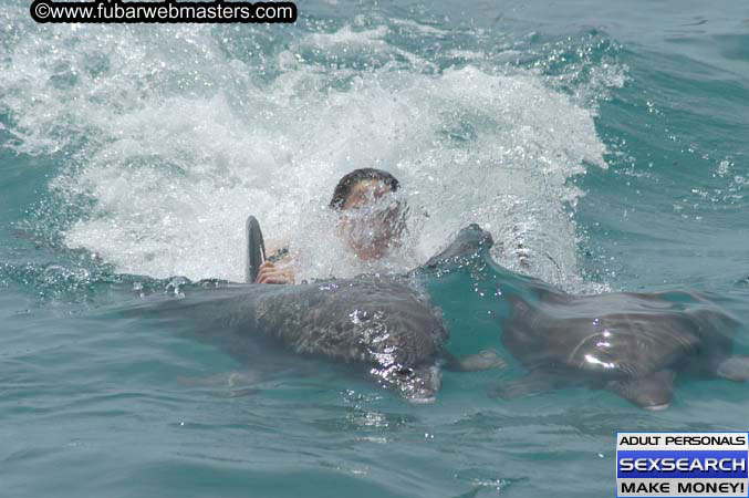 Local Billing Dolphin Encounter and Swim 2005