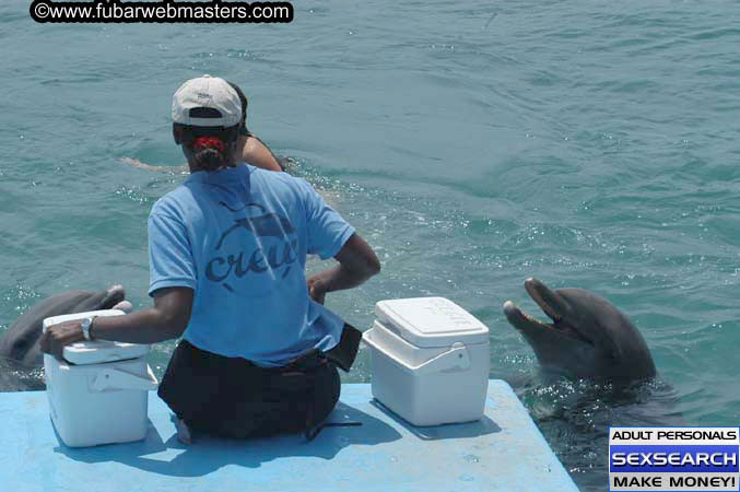 Local Billing Dolphin Encounter and Swim 2005