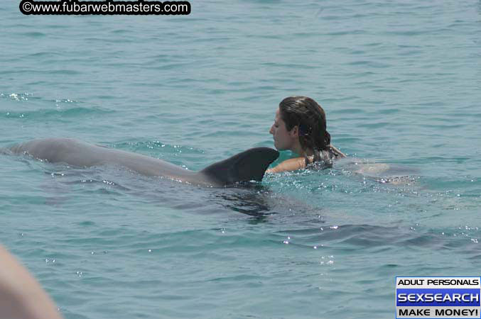 Local Billing Dolphin Encounter and Swim 2005