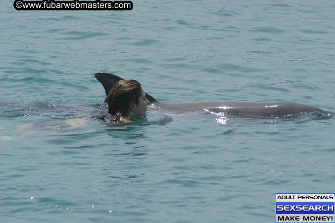 Local Billing Dolphin Encounter and Swim 2005