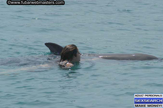 Local Billing Dolphin Encounter and Swim 2005