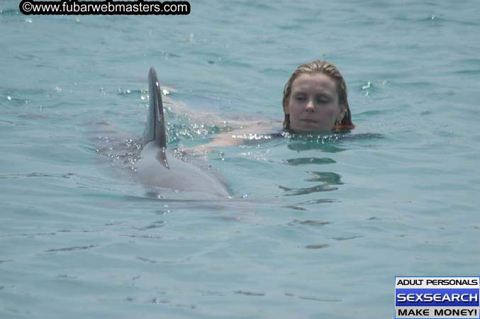 Local Billing Dolphin Encounter and Swim 2005