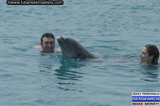 Local Billing Dolphin Encounter and Swim 2005