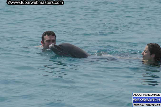 Local Billing Dolphin Encounter and Swim 2005