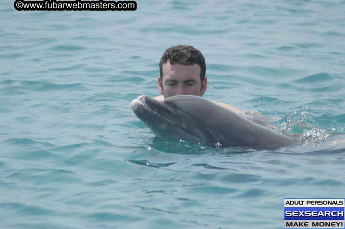 Local Billing Dolphin Encounter and Swim 2005