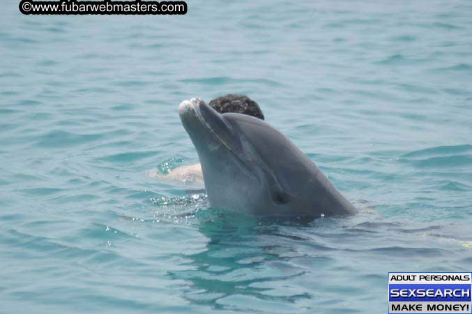 Local Billing Dolphin Encounter and Swim 2005