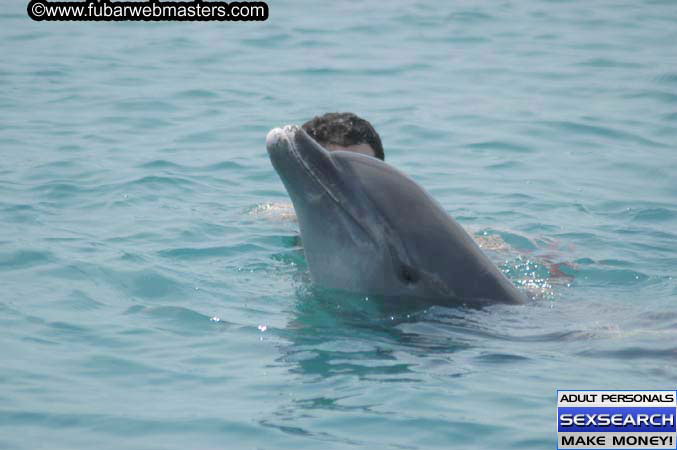 Local Billing Dolphin Encounter and Swim 2005