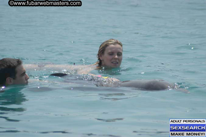 Local Billing Dolphin Encounter and Swim 2005