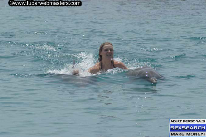 Local Billing Dolphin Encounter and Swim 2005