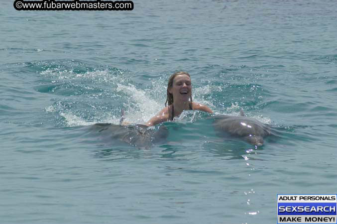 Local Billing Dolphin Encounter and Swim 2005