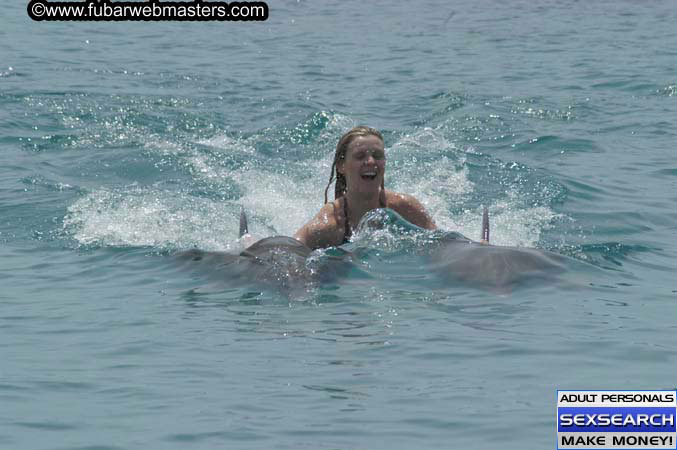 Local Billing Dolphin Encounter and Swim 2005