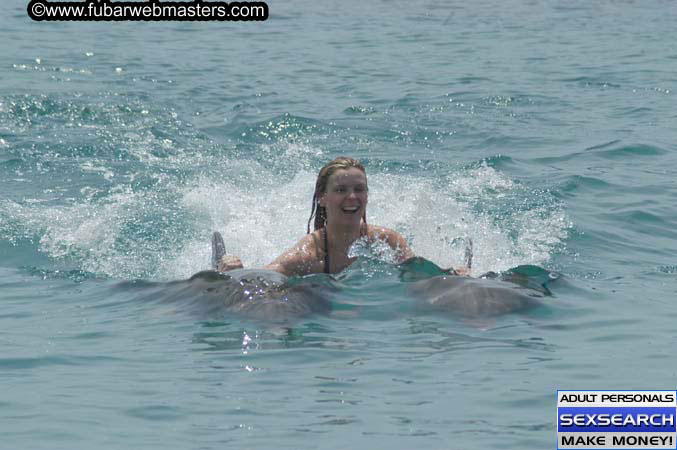 Local Billing Dolphin Encounter and Swim 2005