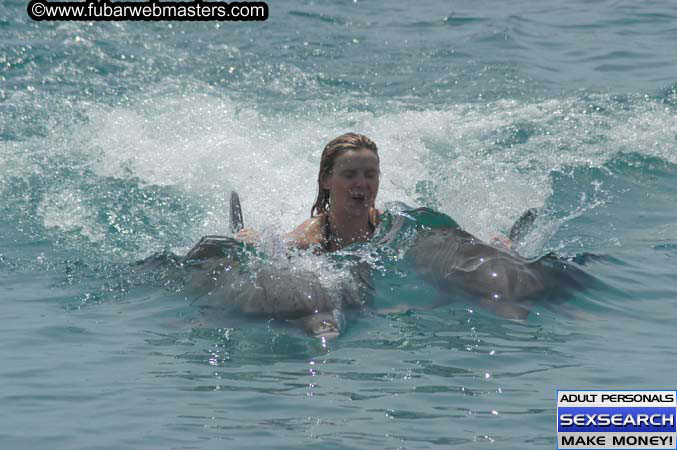 Local Billing Dolphin Encounter and Swim 2005