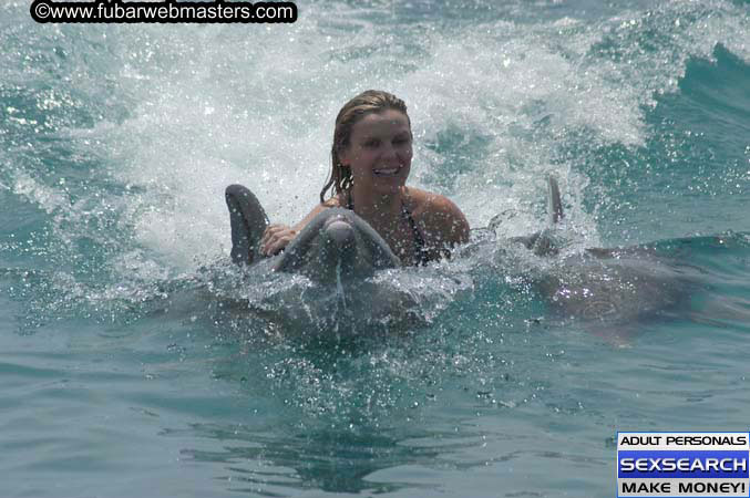 Local Billing Dolphin Encounter and Swim 2005