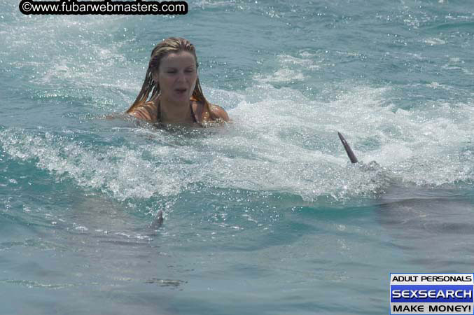 Local Billing Dolphin Encounter and Swim 2005