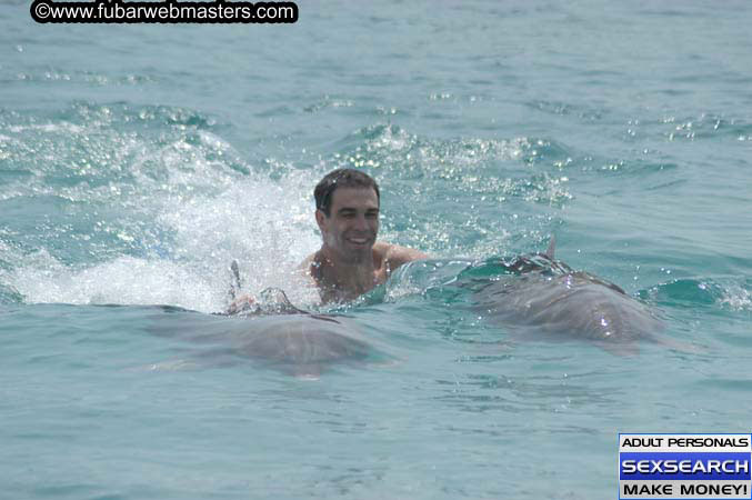 Local Billing Dolphin Encounter and Swim 2005