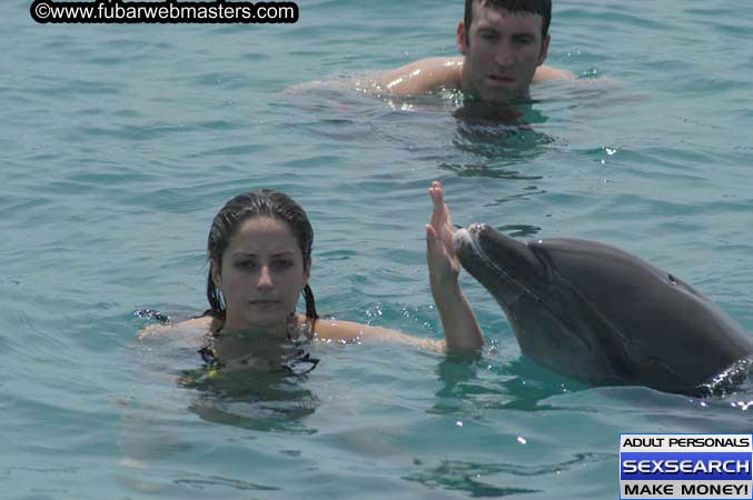 Local Billing Dolphin Encounter and Swim 2005