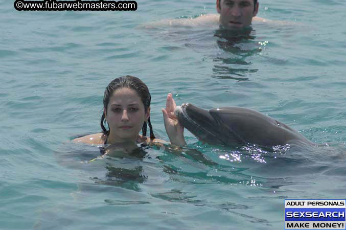 Local Billing Dolphin Encounter and Swim 2005