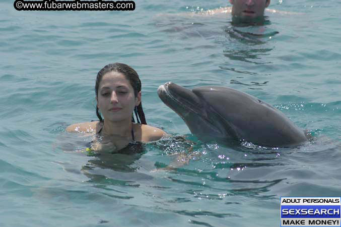 Local Billing Dolphin Encounter and Swim 2005