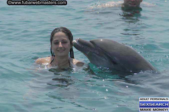 Local Billing Dolphin Encounter and Swim 2005