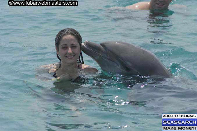 Local Billing Dolphin Encounter and Swim 2005