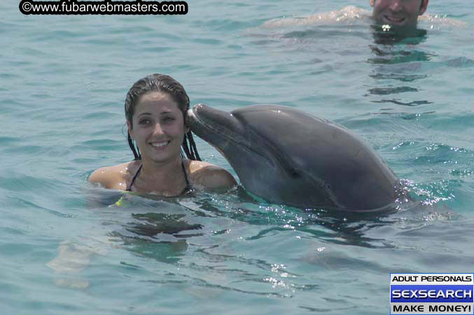 Local Billing Dolphin Encounter and Swim 2005