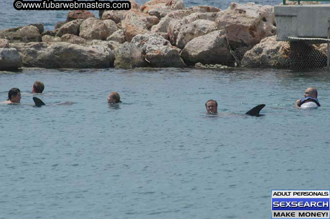 Local Billing Dolphin Encounter and Swim 2005