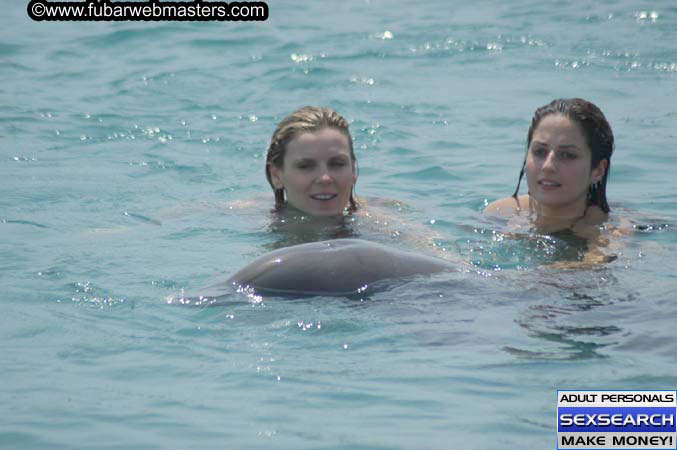 Local Billing Dolphin Encounter and Swim 2005