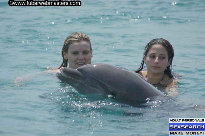 Local Billing Dolphin Encounter and Swim 2005