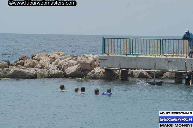 Local Billing Dolphin Encounter and Swim 2005