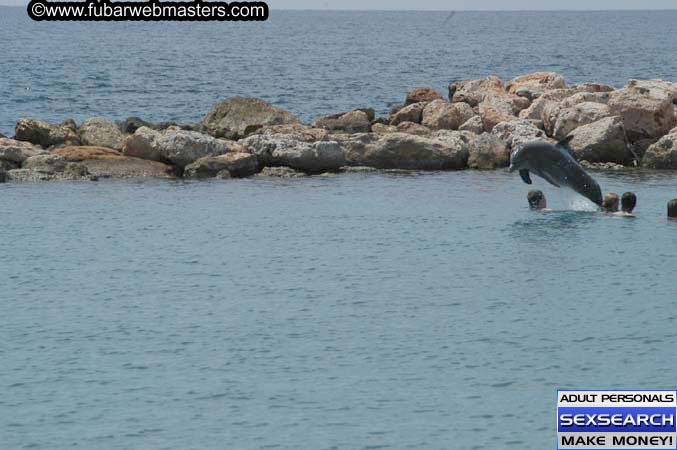 Local Billing Dolphin Encounter and Swim 2005