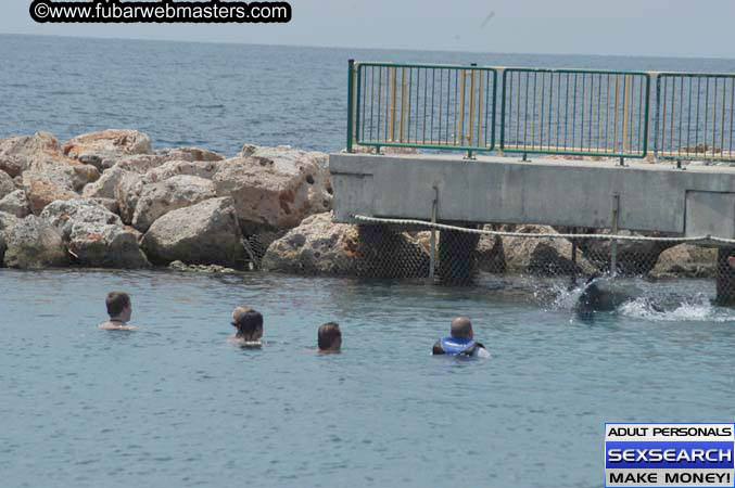 Local Billing Dolphin Encounter and Swim 2005