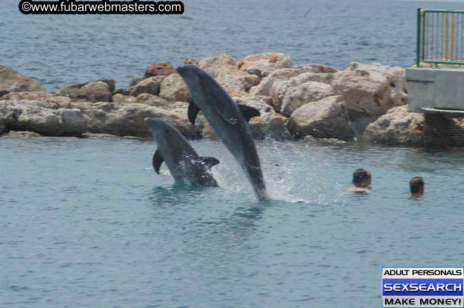 Local Billing Dolphin Encounter and Swim 2005