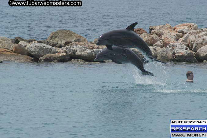 Local Billing Dolphin Encounter and Swim 2005