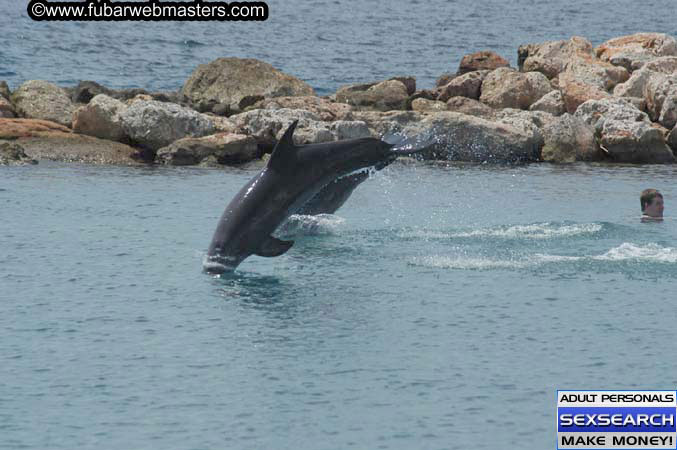 Local Billing Dolphin Encounter and Swim 2005