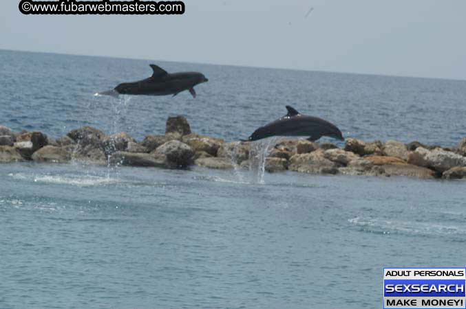 Local Billing Dolphin Encounter and Swim 2005