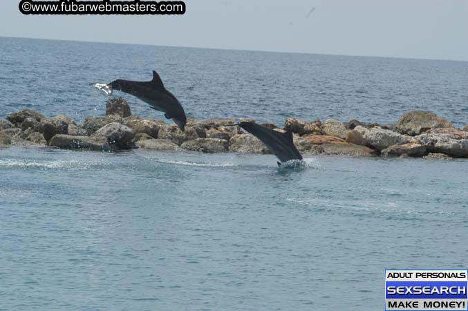 Local Billing Dolphin Encounter and Swim 2005