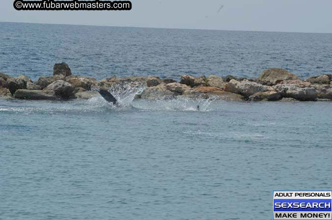 Local Billing Dolphin Encounter and Swim 2005